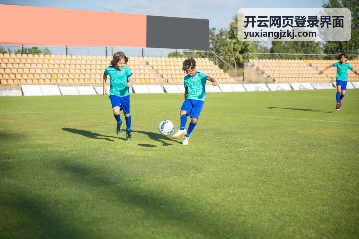 开云网页登录界面异常登录提醒设置