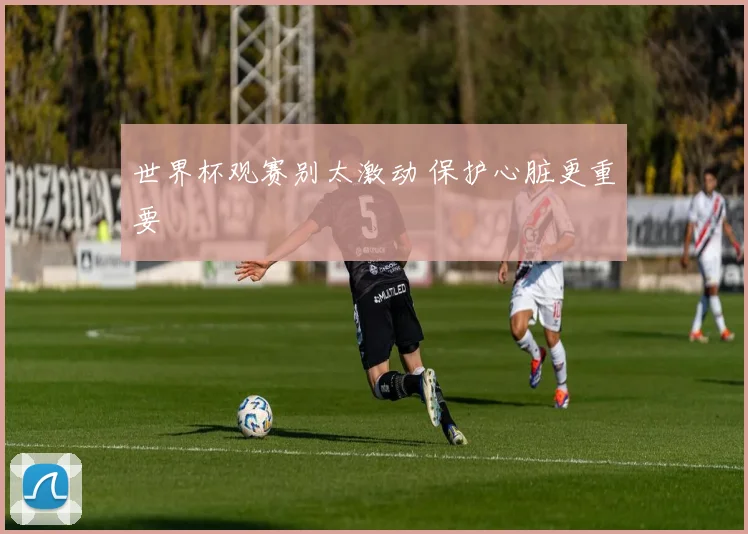 世界杯观赛别太激动 保护心脏更重要